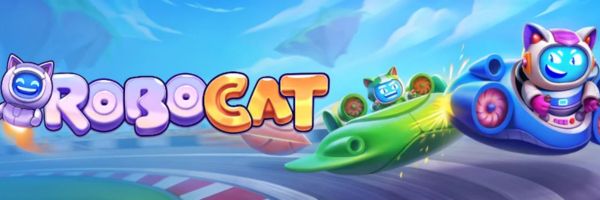 RoboCat Casino review